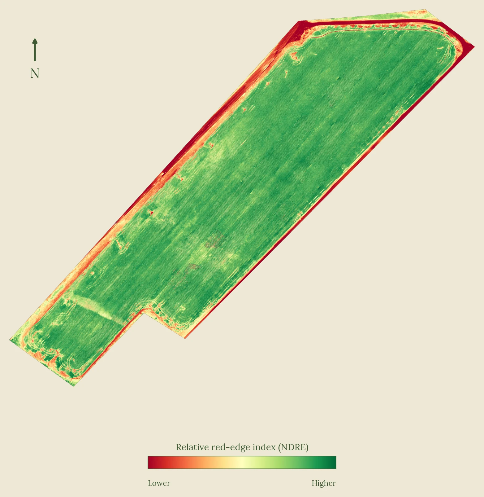 Relative NDRE map of a healthy soybean field showing even canopy